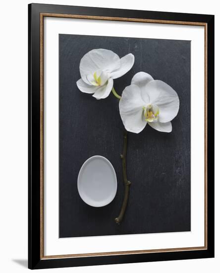 Harmony I-Camille Soulayrol-Framed Giclee Print