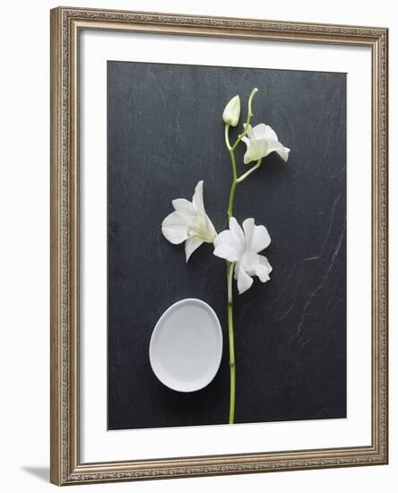 Harmony II-Camille Soulayrol-Framed Giclee Print