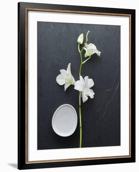 Harmony II-Camille Soulayrol-Framed Giclee Print