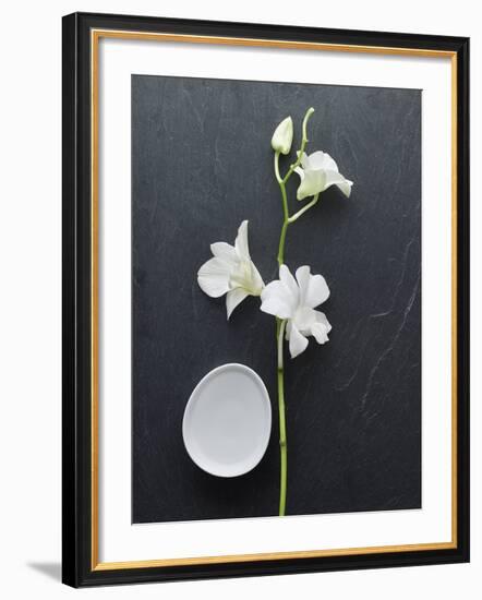 Harmony II-Camille Soulayrol-Framed Giclee Print