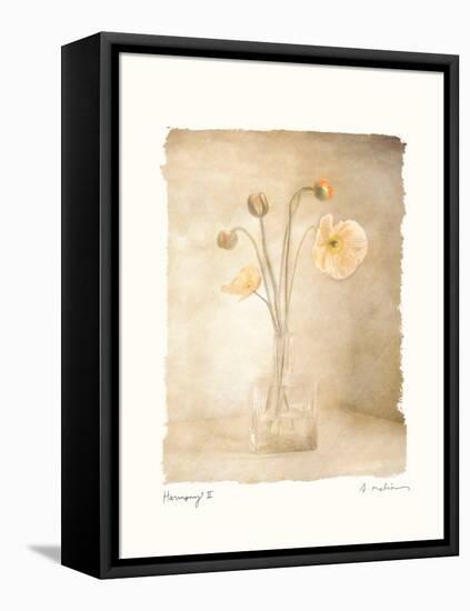 Harmony II-Amy Melious-Framed Stretched Canvas