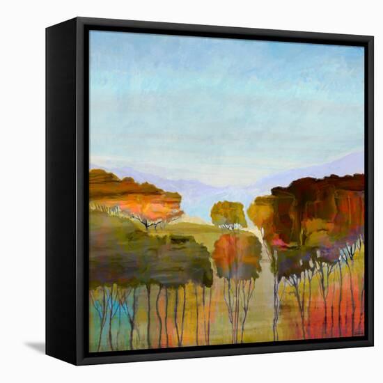 Harmony IV-Michael Tienhaara-Framed Stretched Canvas