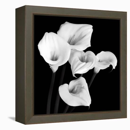 Harmony-Michael Faragher-Framed Stretched Canvas