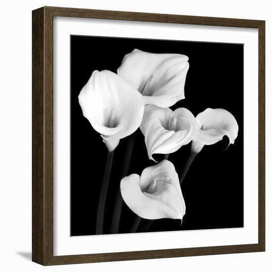 Harmony-Michael Faragher-Framed Art Print