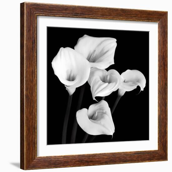 Harmony-Michael Faragher-Framed Art Print