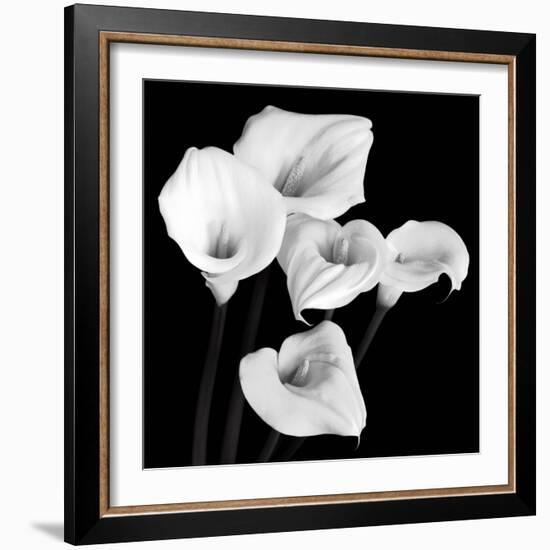 Harmony-Michael Faragher-Framed Art Print