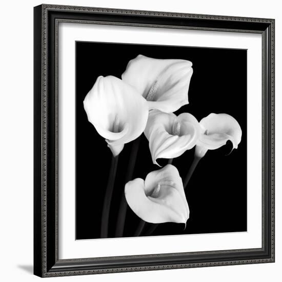 Harmony-Michael Faragher-Framed Art Print