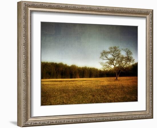 Harmony-Christy Ann-Framed Giclee Print