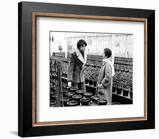 Harold and Maude-null-Framed Photo