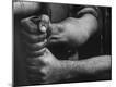 Photographic Print