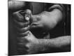 Photographic Print