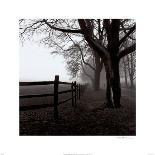 Fence Row and Trees-Harold Silverman-Framed Art Print
