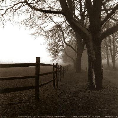 After the Rain Harold Silverman Country Farm Photograph Tree Print Poster 12x12