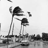 Hurricanes 1960-Harold Valentine-Photographic Print