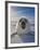 Harp Seal Pup on Ice, Iles De La Madeleine, Canada, Quebec-Keren Su-Framed Photographic Print