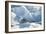 Harp Seal Pup-Doug Allan-Framed Photographic Print