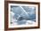 Harp Seal Pup-Doug Allan-Framed Photographic Print