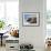 Harp Seal Pup-John Conrad-Framed Photographic Print displayed on a wall