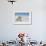 Harp Seal Pup-null-Framed Photographic Print displayed on a wall