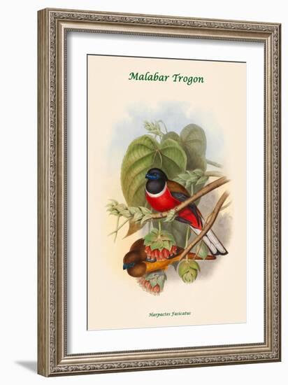 Harpactes Fasicatus-John Gould-Framed Art Print