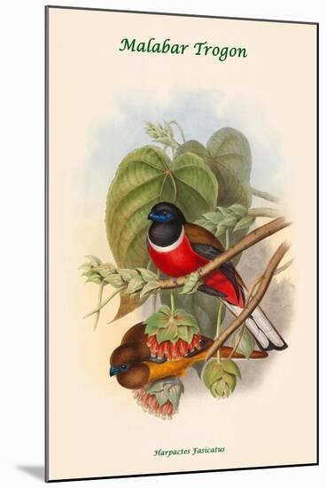 Harpactes Fasicatus-John Gould-Mounted Art Print