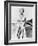 Harper, 1966-null-Framed Photographic Print