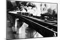 Photographic Print