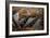 Harpers Ferry, West Virginia - Birds Eye View-Lantern Press-Framed Art Print