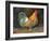 Harpo-Jerry Cable-Framed Giclee Print