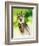 Harpy Eagle-Spencer Williams-Framed Giclee Print