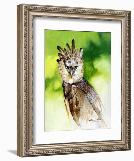 Harpy Eagle-Spencer Williams-Framed Giclee Print