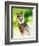 Harpy Eagle-Spencer Williams-Framed Giclee Print