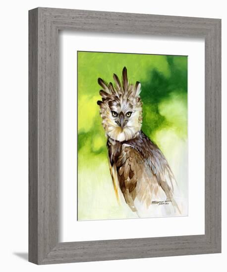 Harpy Eagle-Spencer Williams-Framed Giclee Print