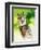 Harpy Eagle-Spencer Williams-Framed Giclee Print