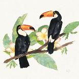 Tropical Fun Bird II-Harriet Sussman-Framed Art Print
