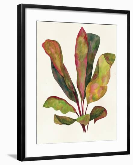 Harriets Elements 11-Wild Apple Portfolio-Framed Art Print