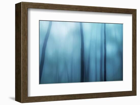 Harriman Woods I-James McLoughlin-Framed Photographic Print
