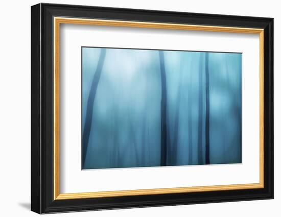 Harriman Woods I-James McLoughlin-Framed Photographic Print