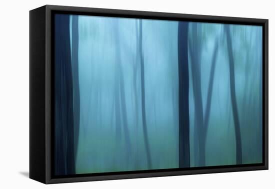 Harriman Woods II-James McLoughlin-Framed Premier Image Canvas