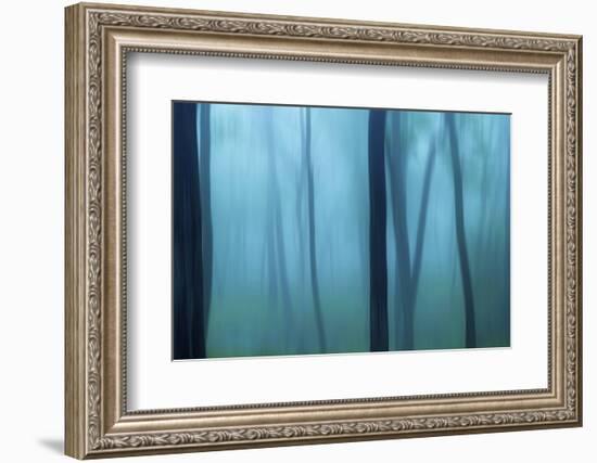 Harriman Woods II-James McLoughlin-Framed Photographic Print