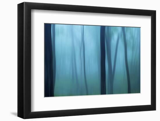 Harriman Woods II-James McLoughlin-Framed Photographic Print