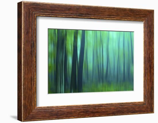 Harriman Woods III-James McLoughlin-Framed Photographic Print