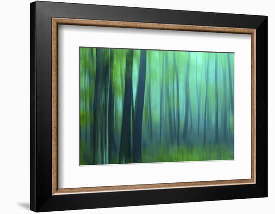 Harriman Woods III-James McLoughlin-Framed Photographic Print