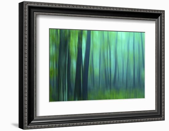 Harriman Woods III-James McLoughlin-Framed Photographic Print