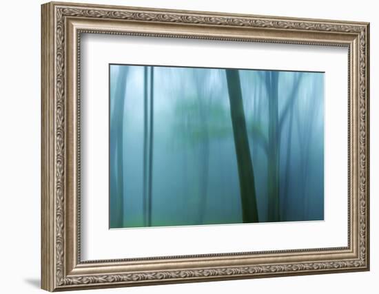 Harriman Woods IV-James McLoughlin-Framed Photographic Print