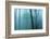 Harriman Woods IV-James McLoughlin-Framed Photographic Print