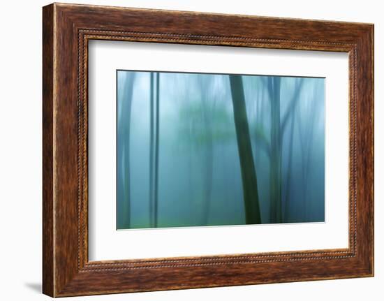 Harriman Woods IV-James McLoughlin-Framed Photographic Print