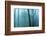 Harriman Woods IV-James McLoughlin-Framed Photographic Print