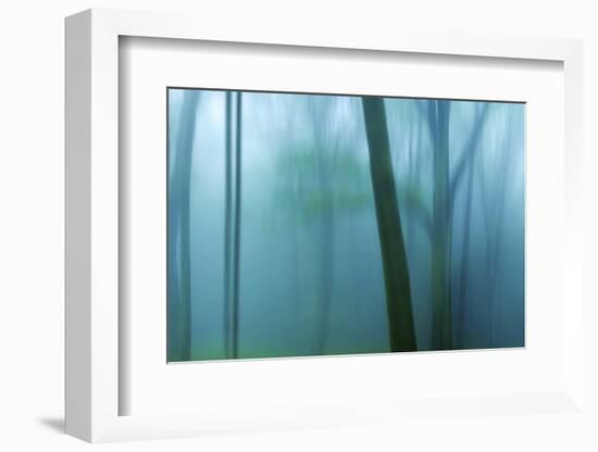 Harriman Woods IV-James McLoughlin-Framed Photographic Print