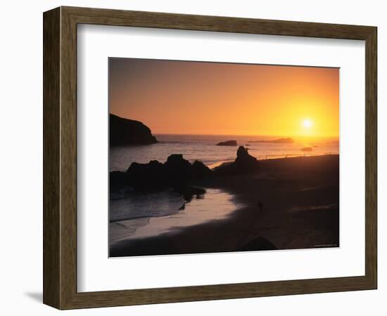 Harris Beach State Park, Brookings, Oregon, USA-Michael Snell-Framed Photographic Print